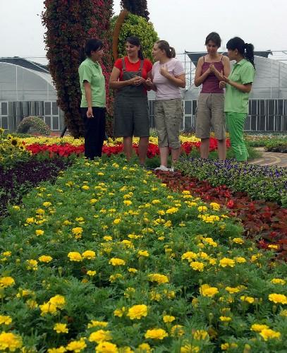 奥运花卉展示园在北京建成